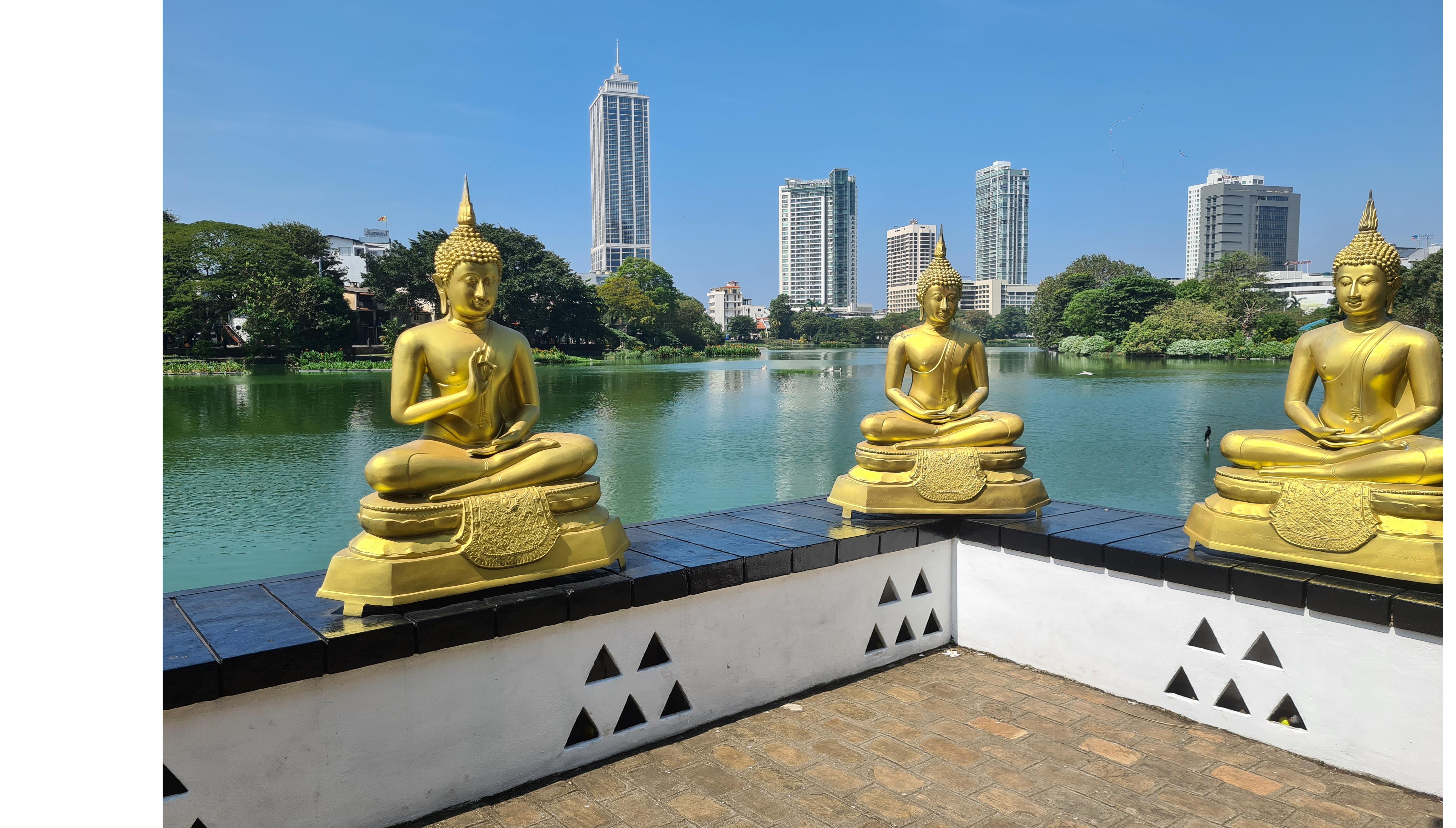 New Study Tour - Splendours of Sri Lanka
